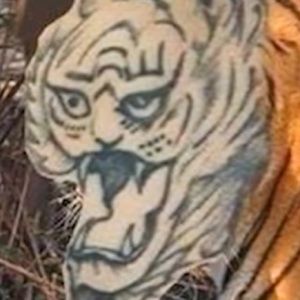 Meet your Posher, Jack